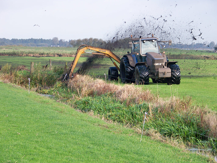 We clean the ditch and at the same time spread the crushed reed across the land.