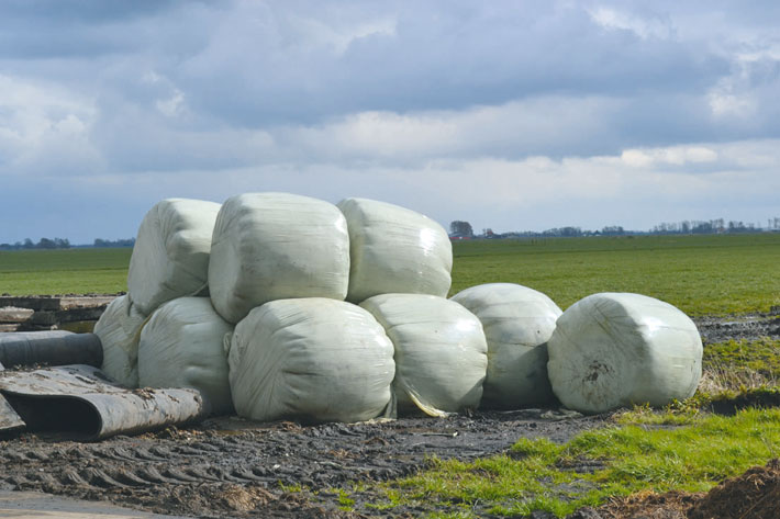 A pile of wrapped round bales. We wrap the bales to protect them from the weather and to ensure the feed quality.