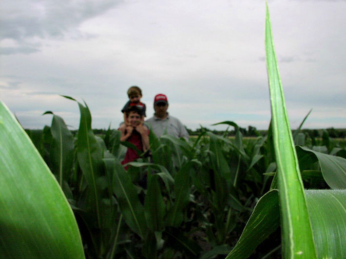 Walking through the cornfield during a good year.