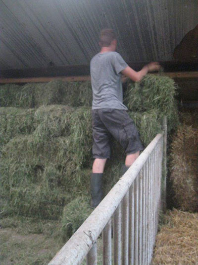 Stacking the bales of hay.